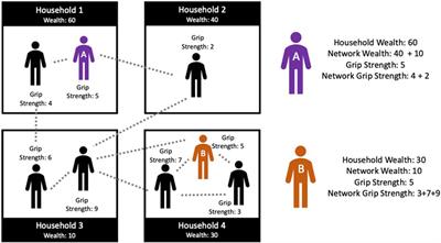 The Effect of Family Wealth on Physical Function Among Older Adults in Mpumalanga, South Africa: A Causal Network Analysis